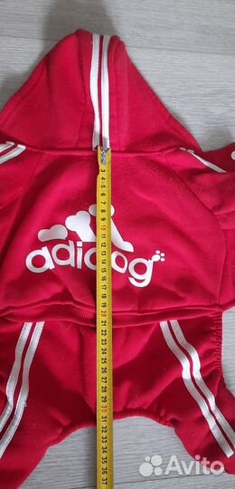 Одежда для маленьких собак