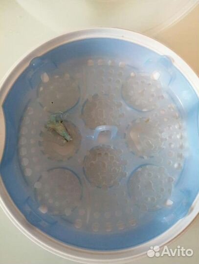 Стерилизатор philips avent