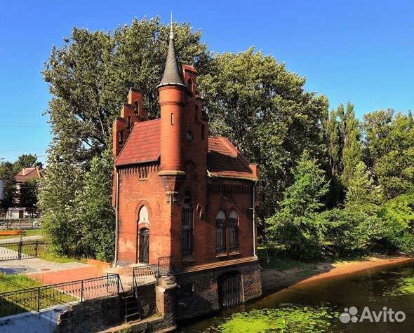 Услуги миграционные гражданам РФ, снг