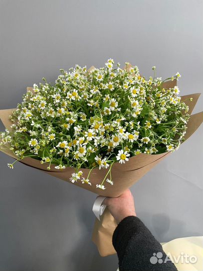 Букет с доставкой ромашки