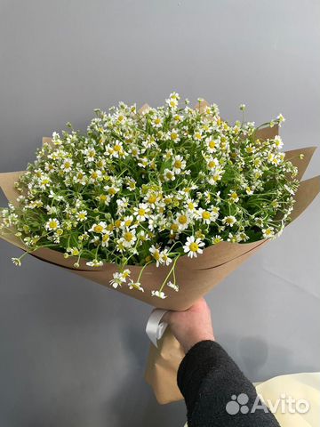 Букет с доставкой ромашки