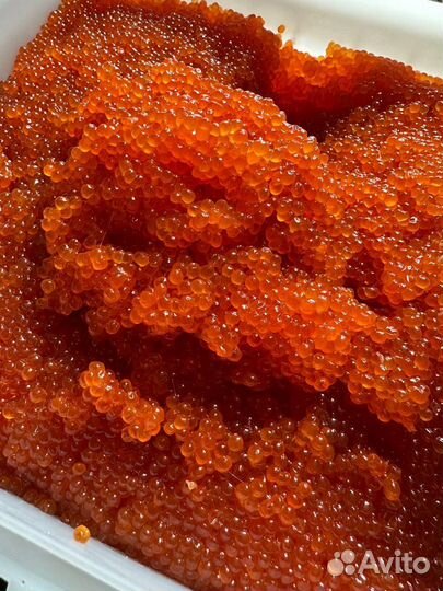 Продаю красную Икру кеты