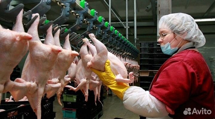 Рабочие на Птицефабрику Вахта Ростов