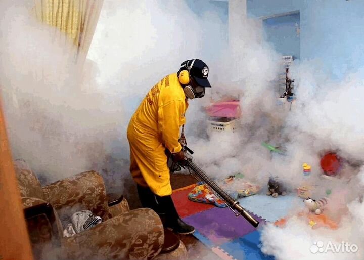 Уничтожение клопов тараканов грибка плесени