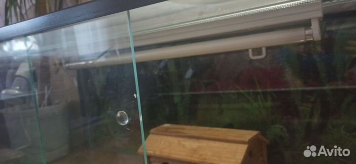 Два террариума большой 100*56*40