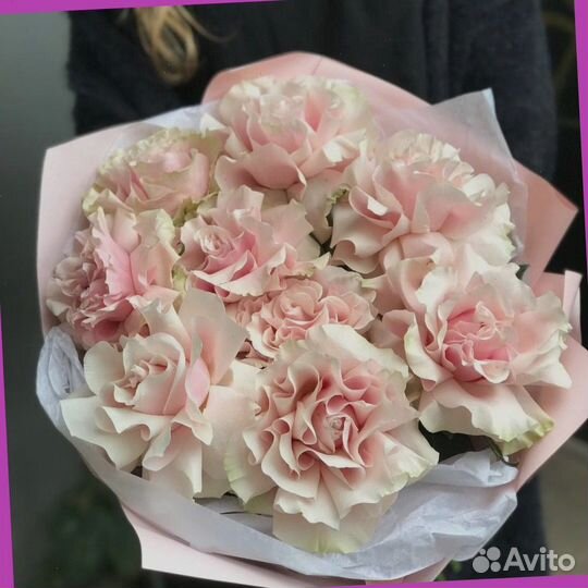 Французские розы ароматные