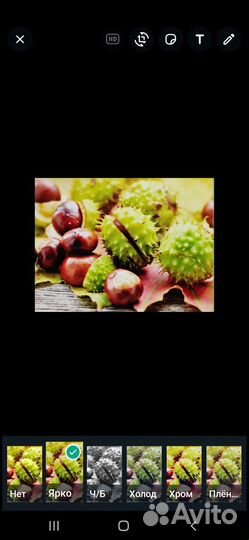 Плоды каштана