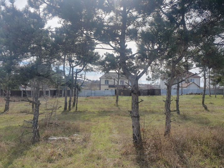 Участок 5 сот. (СНТ, ДНП)