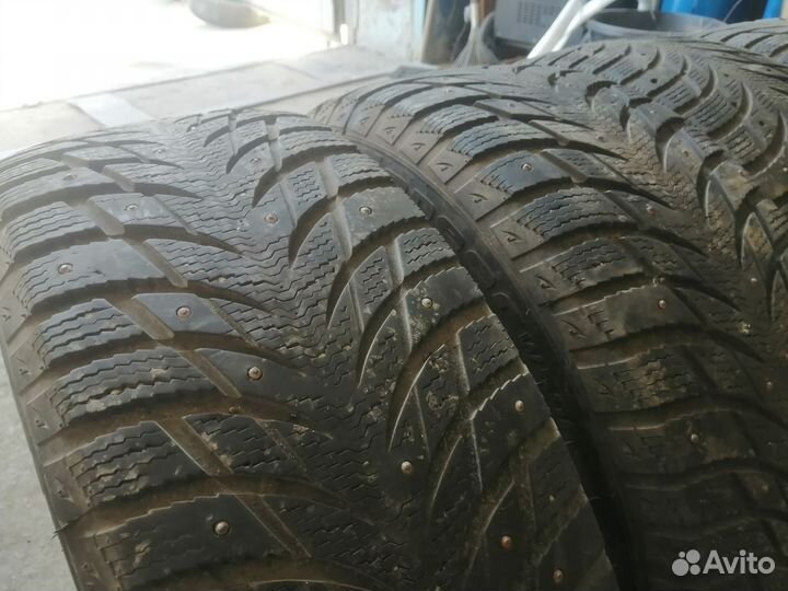 Blacklion W506 Ice Pioneer 205/55 R16 91H