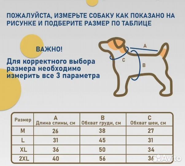 Одежда для собак