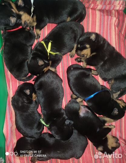 Раннее бронирование