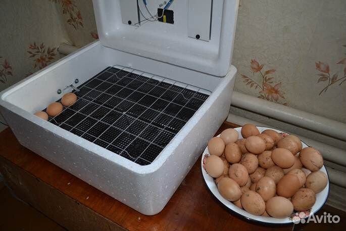 Инкубатор Несушка на 63 яйца аналоговый терморег
