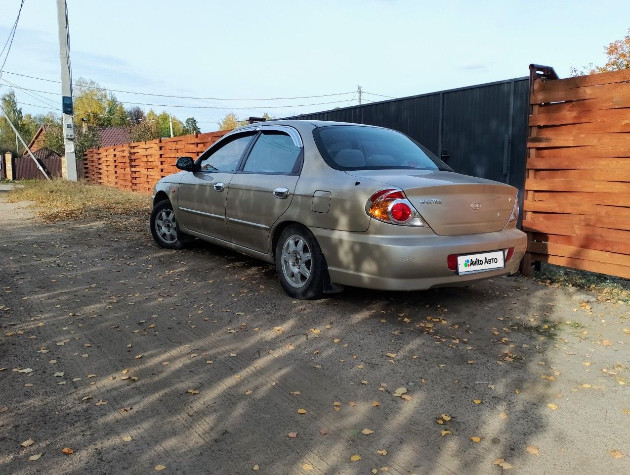 Kia Spectra: фото владельца