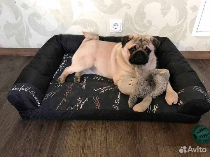 Диван лежанка Premium для собак всех размеров