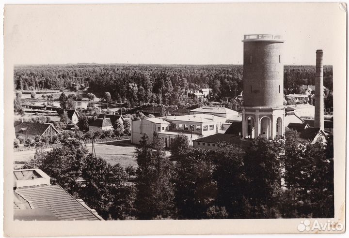 24 Фотографии немецкой девушки в Риге 1943 год