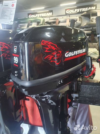 Лодочный мотор Golfstream (Гольфстрим) Т 9.9 вмs E