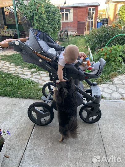 Коляска camarelo 2 в 1