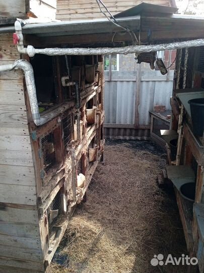 Клетка для кролика