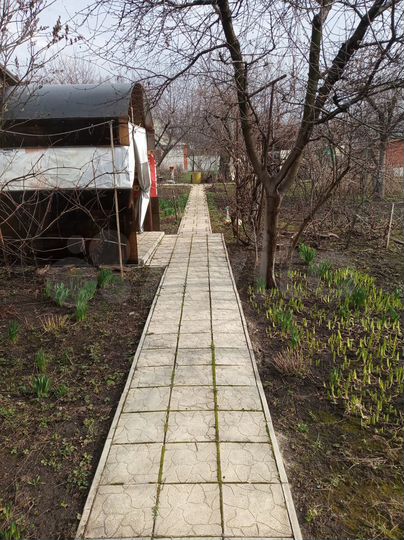 Дача 25 м² на участке 6 сот.