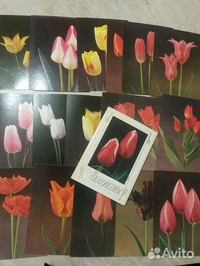 Наборы открыток: Цветы. Растения