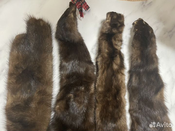 Шкура норки мех