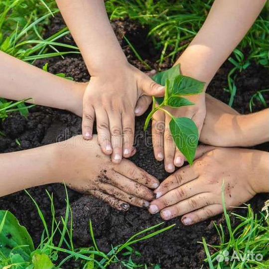 Вермикулит для разрыхления почвы 100 л