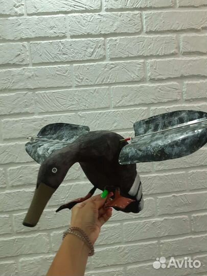 Утка махокрыл