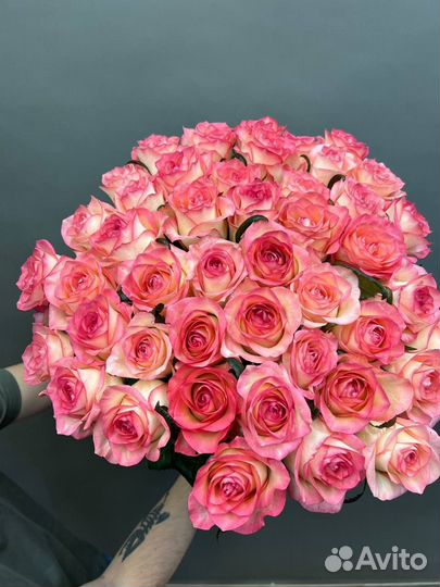 Свежие крупноголовые розы с доставкой. Роза 31-101