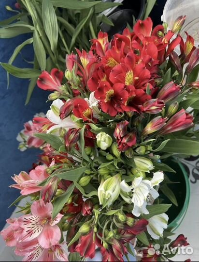 Букет из альстромерий