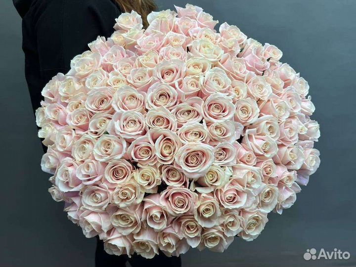 Букеты из 101 розы. Роза с доставкой