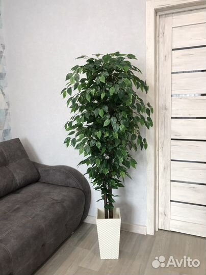 Фикус бенджамина искусственный