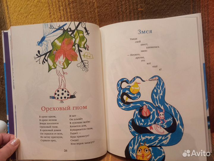 Книга.Марина Бородицкая 