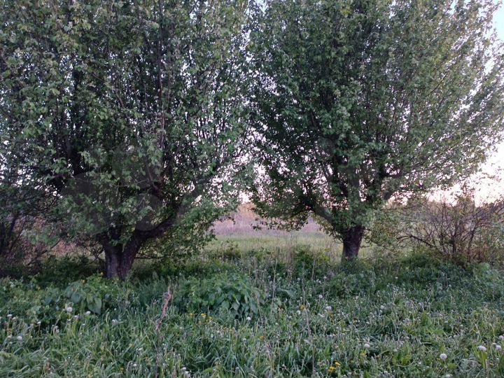 Дом 53 м² на участке 30 сот.