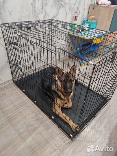 Продам клетку для собак номер 6,размер 120*79*83