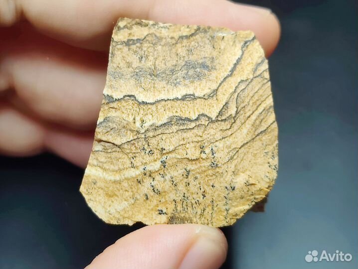 Яшма рисунчатая. Намибия