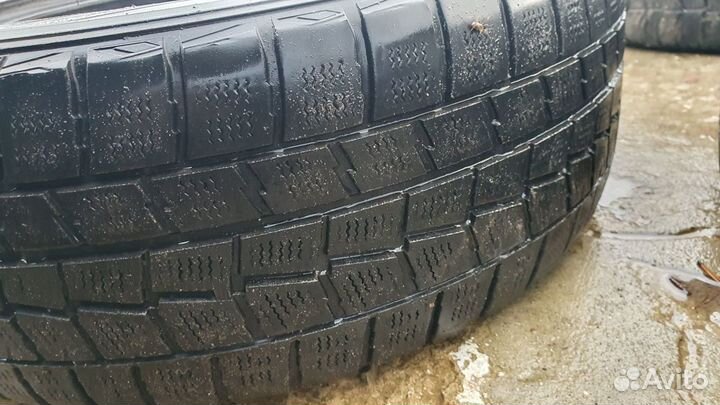 Dunlop Winter Maxx WM01 205/55 R16 94T