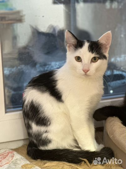 Степан 4 месяца