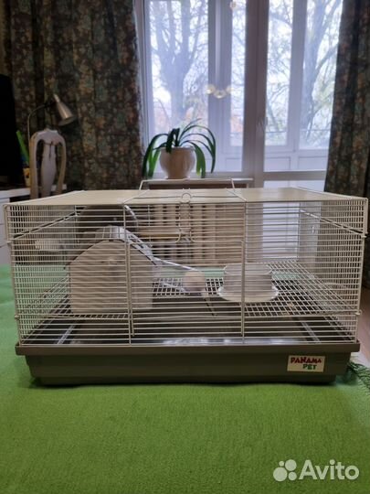 Клетка для джунгарского хомяка