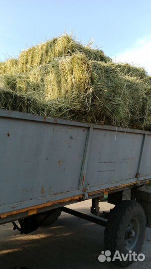 Солома, сено