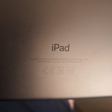 Apple iPad mini 5 (2019) 256GB Wi-Fi Space Gray