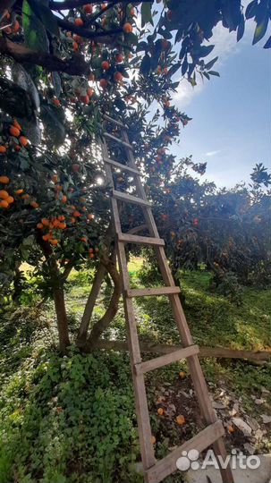 Разговоры по душам