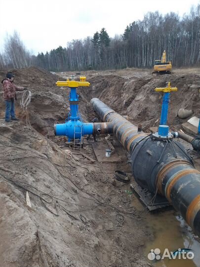 Начальник участка, старший производитель работ