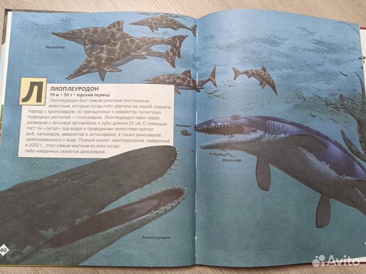 Книга Динозавры