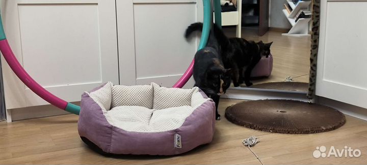 Лежанка для кошек