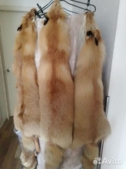 Шкуры лисы. Лиса огневка