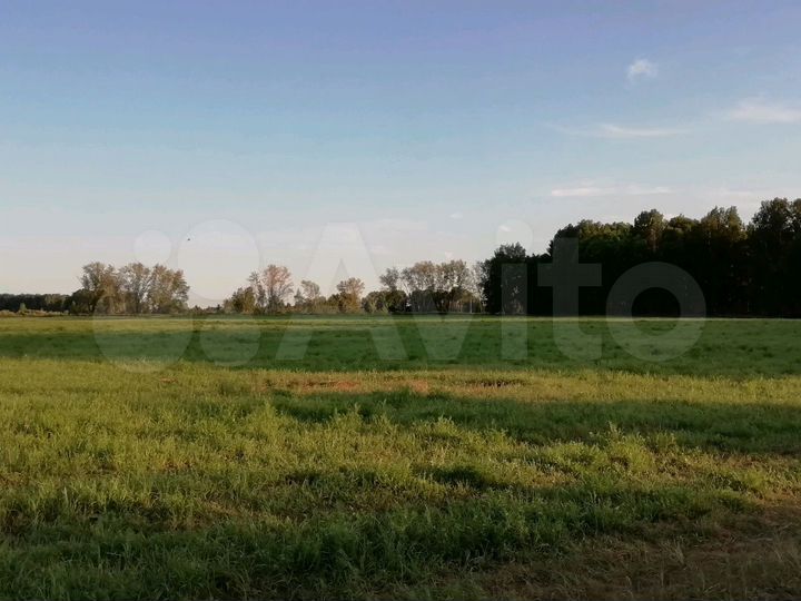 Участок 36 га (СНТ, ДНП)