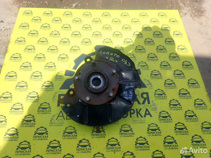 Кулак поворотный передний правый Kia Cerato 09-13