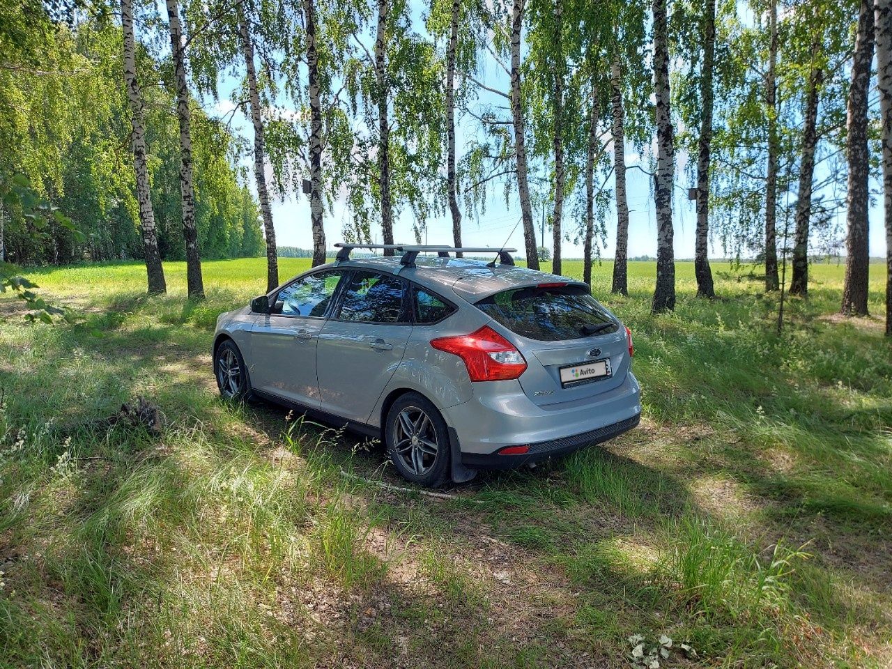 Ford Focus: фото владельца