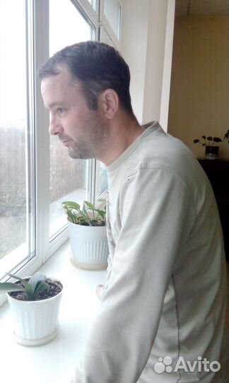 Любая работа, подработка