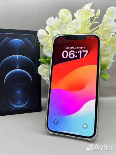 iPhone 12 Pro Max, 256 ГБ